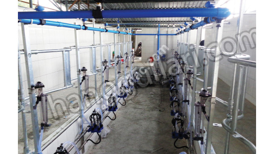 Balıkkılçığı Model Sağım Sistemleri