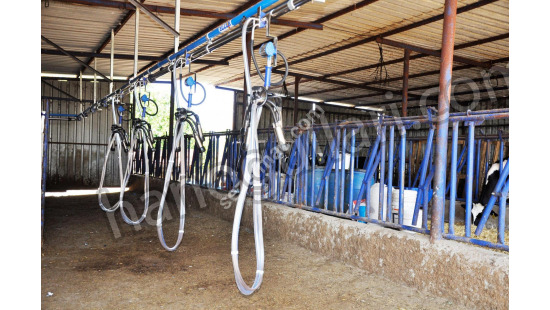 Behind Lock Milking System