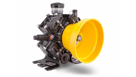 Öntar Pumps