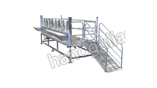 Ovine Milking Ramp