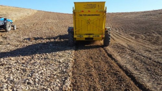 Stone Picker Kaplan 200