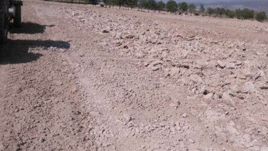 Stone Picker Kaplan 200