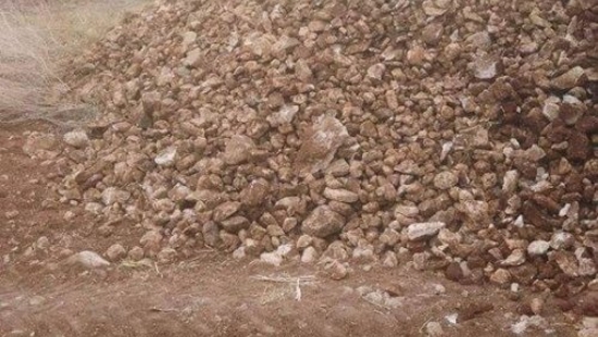 Stone Picker Kaplan 200
