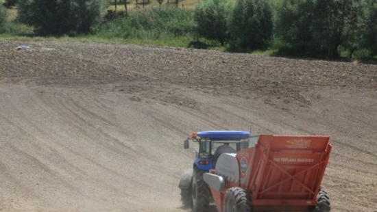 Kaplan Stone Picker 175
