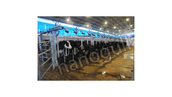Milking Systems