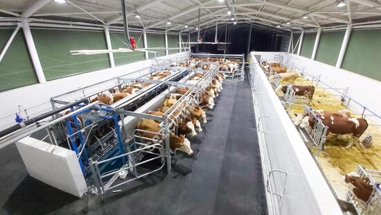Paralel Hızlı Çıkışlı Sağım Sistemleri