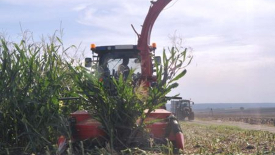 Three-Row Sequence Independent Corn Silage Machine BIGDRUM 2200