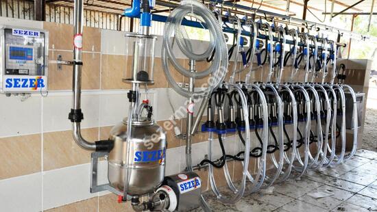 Behind Lock Milking System
