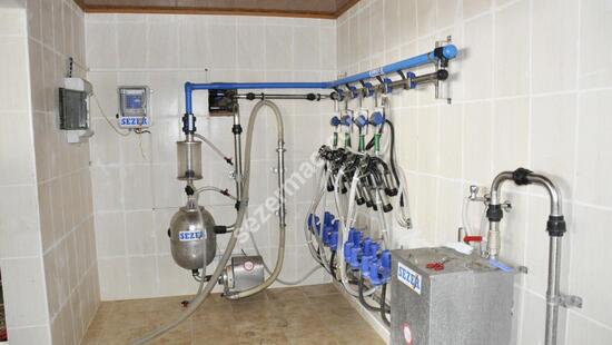 Behind Lock Milking System