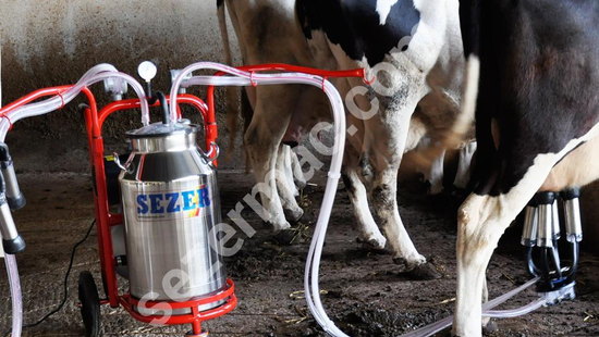 PLS 2/1 with 2 Milking Heads, 1 Bucket