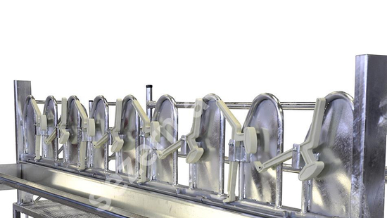 Ovine Milking Ramp