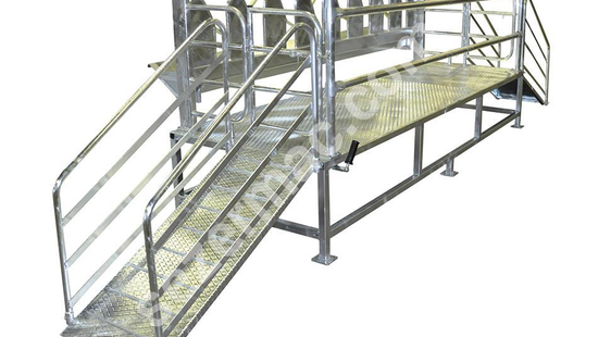 Ovine Milking Ramp