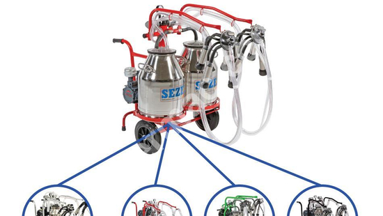 IMLPS-2 2 Milking Head, 2 Bucket